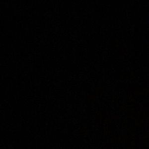 Meet your Posher, Charlie